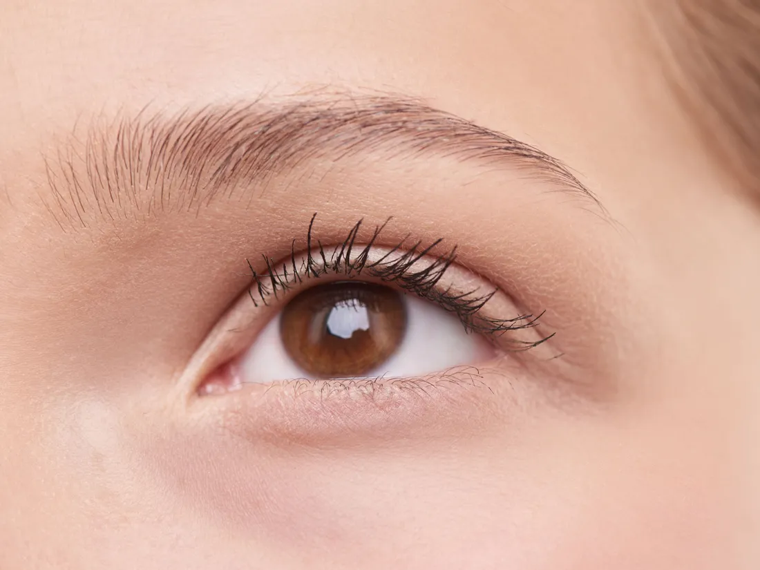 Gros plan sur un oeil aux cils rehaussés et au sourcil dessiné